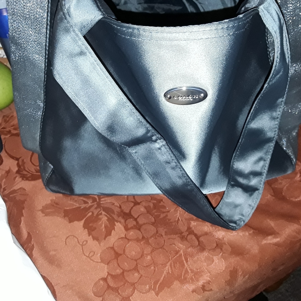 Coach Accessory Bag